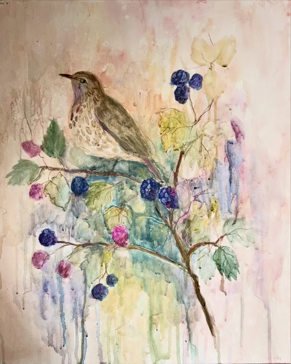 Original painting by Vera Hylands — a song thrush perched on a blackberry bramble with ripening fruit, in soft translucent washes